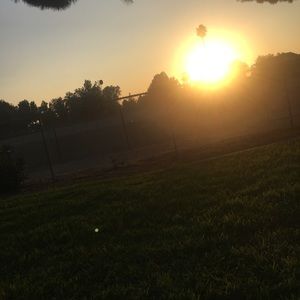 Meet your Posher, Daisy